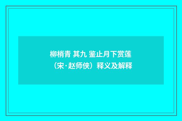 柳梢青 其九 鉴止月下赏莲（宋·赵师侠）释义及解释