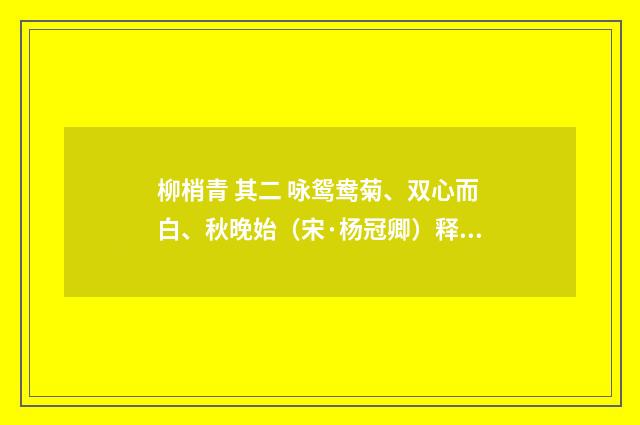 柳梢青 其二 咏鸳鸯菊、双心而白、秋晚始（宋·杨冠卿）释义及解释
