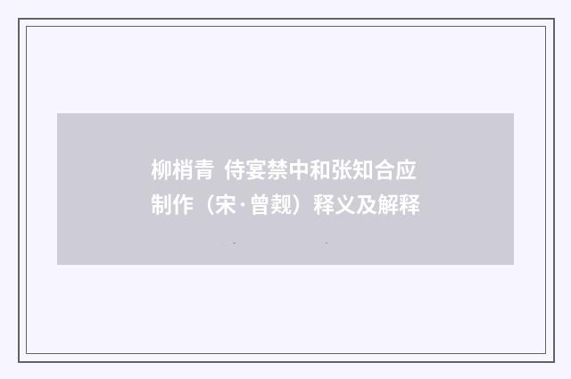 柳梢青 侍宴禁中和张知合应制作（宋·曾觌）释义及解释