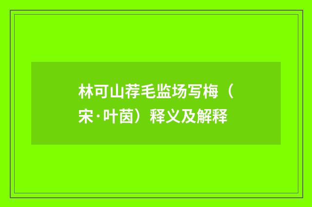 林可山荐毛监场写梅（宋·叶茵）释义及解释