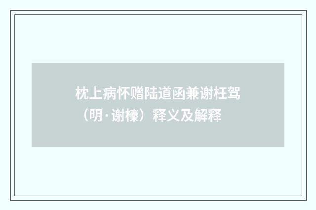枕上病怀赠陆道函兼谢枉驾（明·谢榛）释义及解释