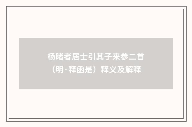 杨睹者居士引其子来参二首（明·释函是）释义及解释