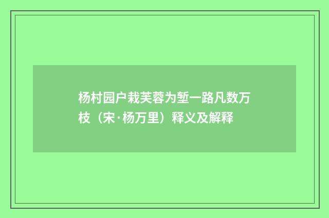 杨村园户栽芙蓉为堑一路凡数万枝（宋·杨万里）释义及解释