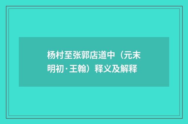 杨村至张郭店道中（元末明初·王翰）释义及解释