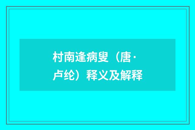 村南逢病叟（唐·卢纶）释义及解释