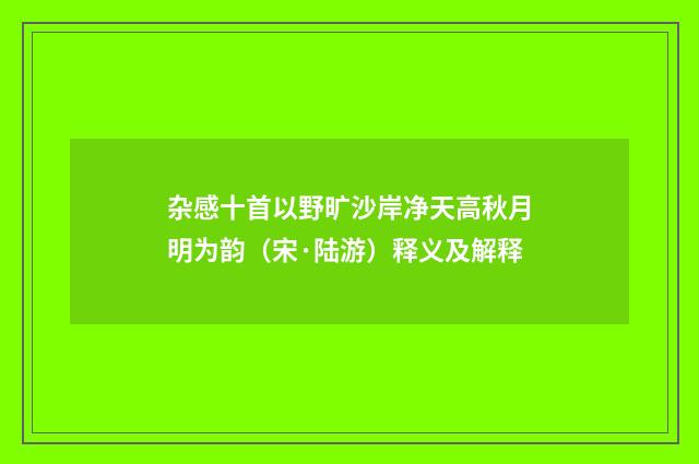 杂感十首以野旷沙岸净天高秋月明为韵（宋·陆游）释义及解释