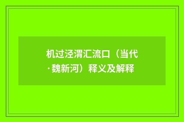 机过泾渭汇流口（当代·魏新河）释义及解释