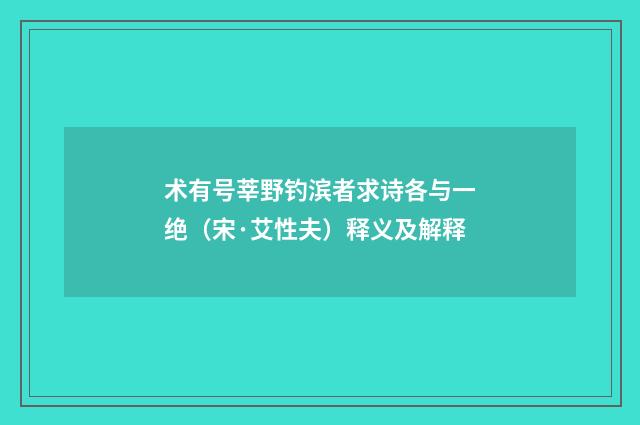 术有号莘野钓滨者求诗各与一绝（宋·艾性夫）释义及解释