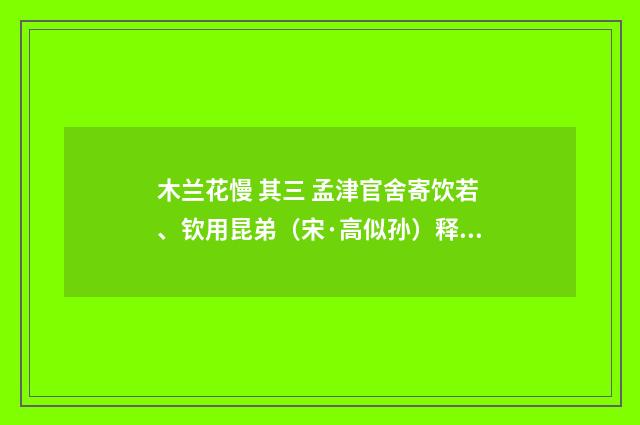 木兰花慢 其三 孟津官舍寄饮若、钦用昆弟（宋·高似孙）释义及解释