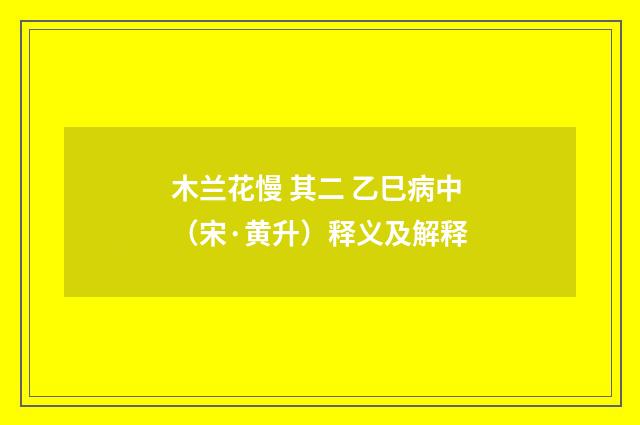 木兰花慢 其二 乙巳病中（宋·黄升）释义及解释