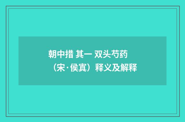 朝中措 其一 双头芍药（宋·侯寘）释义及解释