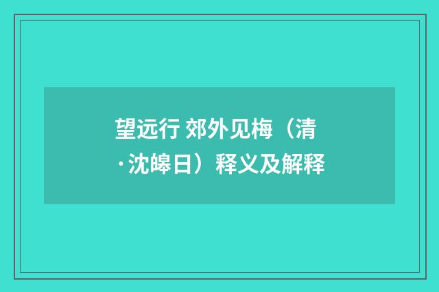 望远行 郊外见梅（清·沈皞日）释义及解释