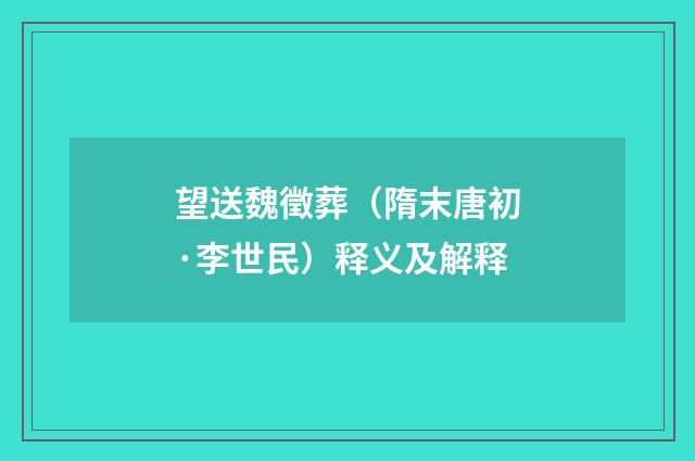 望送魏徵葬（隋末唐初·李世民）释义及解释