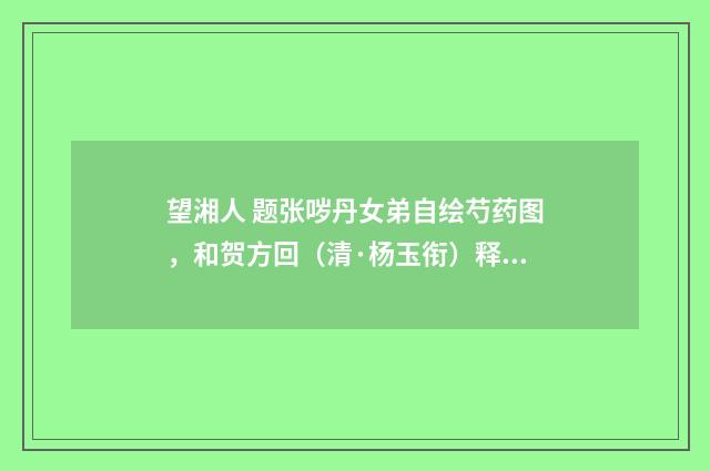 望湘人 题张哕丹女弟自绘芍药图，和贺方回（清·杨玉衔）释义及解释