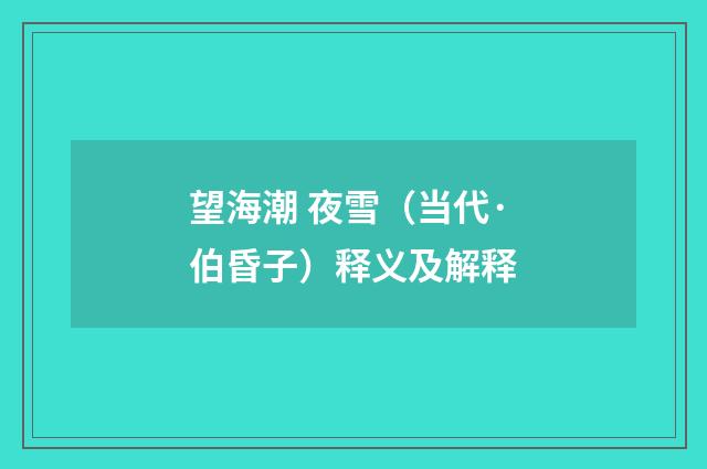 望海潮 夜雪（当代·伯昏子）释义及解释