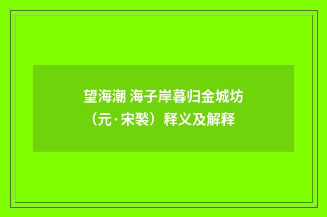 望海潮 海子岸暮归金城坊（元·宋褧）释义及解释