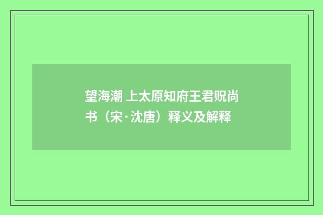 望海潮 上太原知府王君贶尚书（宋·沈唐）释义及解释