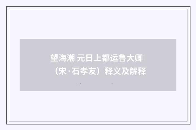 望海潮 元日上都运鲁大卿（宋·石孝友）释义及解释