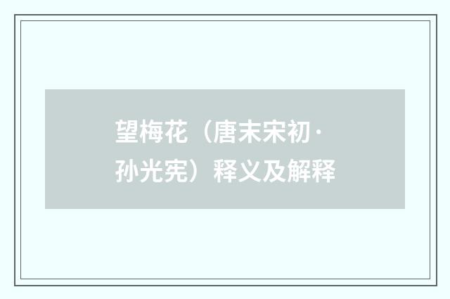 望梅花（唐末宋初·孙光宪）释义及解释