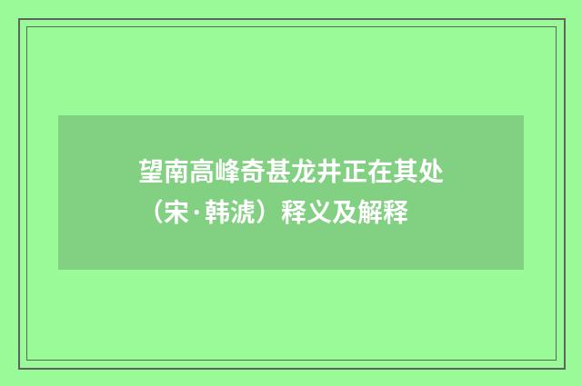 望南高峰奇甚龙井正在其处（宋·韩淲）释义及解释