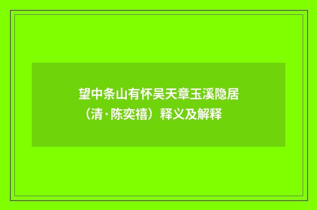 望中条山有怀吴天章玉溪隐居（清·陈奕禧）释义及解释