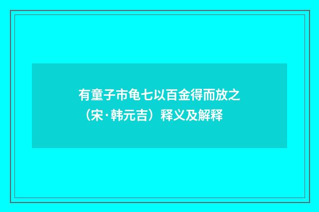 有童子市龟七以百金得而放之（宋·韩元吉）释义及解释