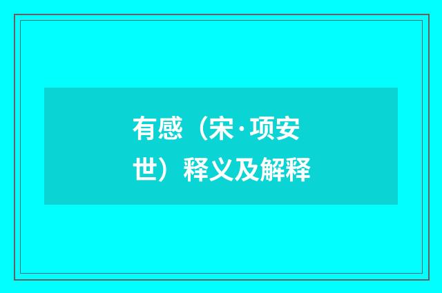 有感（宋·项安世）释义及解释