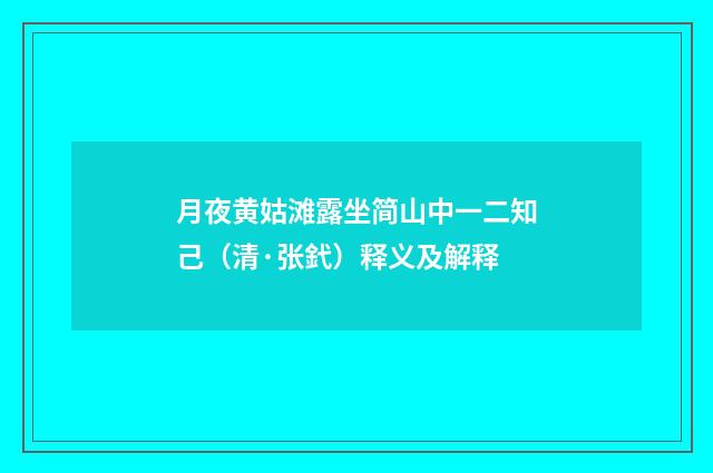月夜黄姑滩露坐简山中一二知己（清·张釴）释义及解释