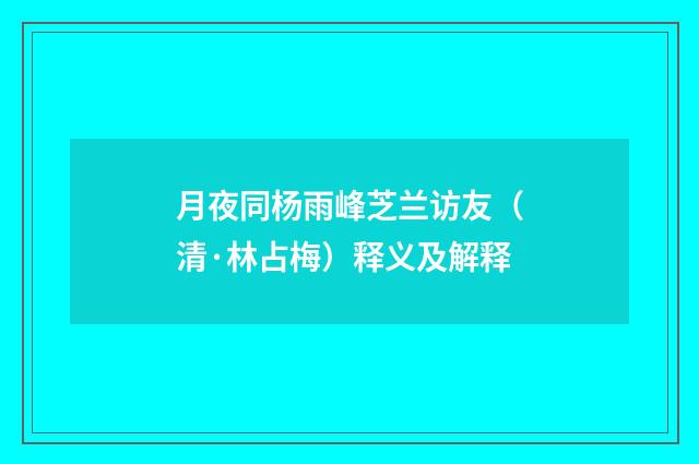 月夜同杨雨峰芝兰访友（清·林占梅）释义及解释