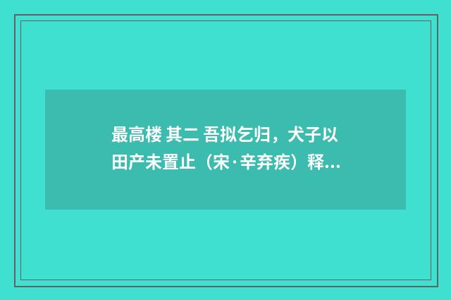 最高楼 其二 吾拟乞归，犬子以田产未置止（宋·辛弃疾）释义及解释