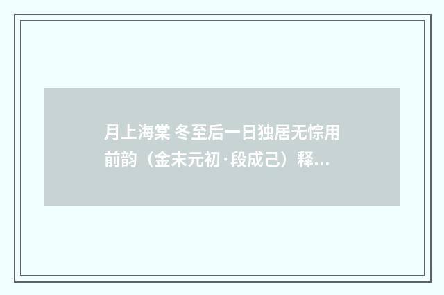 月上海棠 冬至后一日独居无悰用前韵（金末元初·段成己）释义及解释
