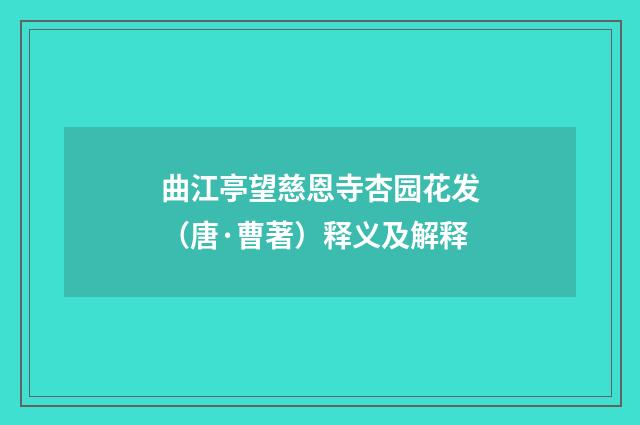 曲江亭望慈恩寺杏园花发（唐·曹著）释义及解释