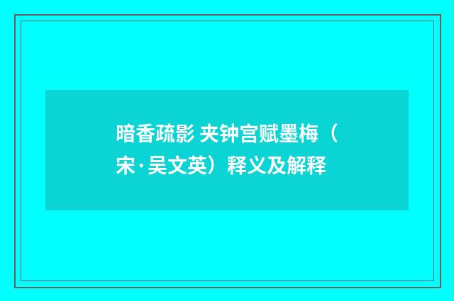暗香疏影 夹钟宫赋墨梅（宋·吴文英）释义及解释
