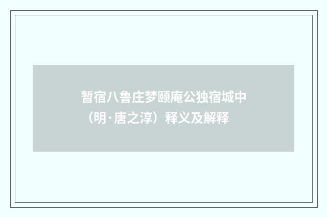 暂宿八鲁庄梦颐庵公独宿城中（明·唐之淳）释义及解释