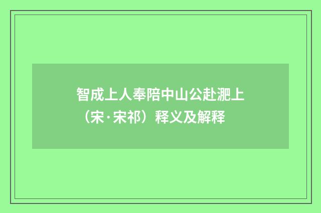 智成上人奉陪中山公赴淝上（宋·宋祁）释义及解释