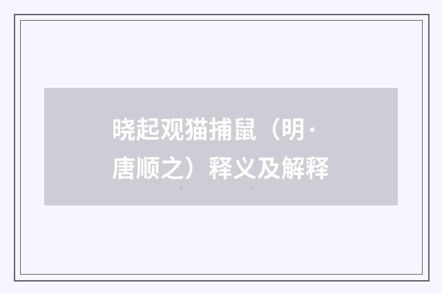晓起观猫捕鼠（明·唐顺之）释义及解释