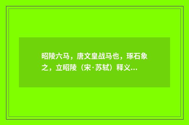 昭陵六马，唐文皇战马也，琢石象之，立昭陵（宋·苏轼）释义及解释