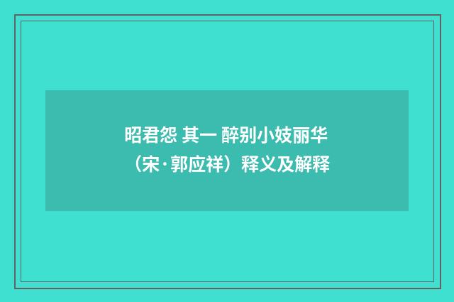 昭君怨 其一 醉别小妓丽华（宋·郭应祥）释义及解释