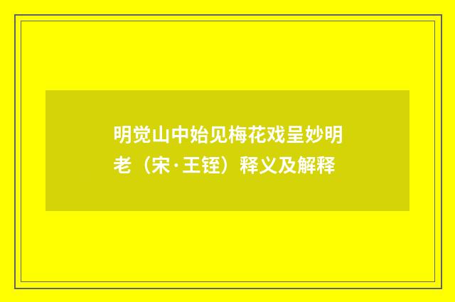 明觉山中始见梅花戏呈妙明老（宋·王铚）释义及解释