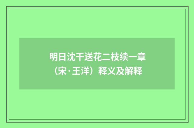 明日沈干送花二枝续一章（宋·王洋）释义及解释
