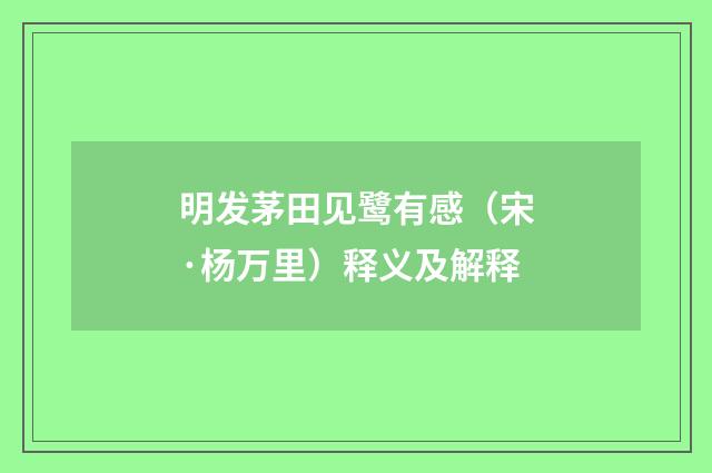 明发茅田见鹭有感（宋·杨万里）释义及解释