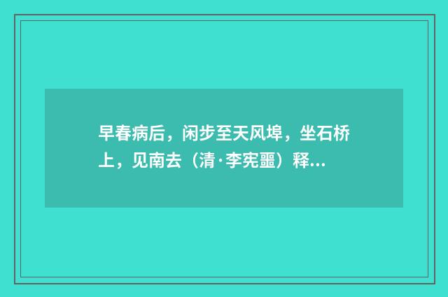 早春病后，闲步至天风埠，坐石桥上，见南去（清·李宪噩）释义及解释