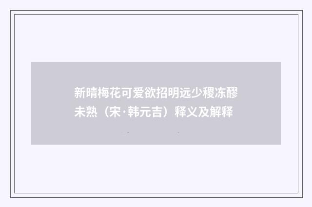 新晴梅花可爱欲招明远少稷冻醪未熟（宋·韩元吉）释义及解释