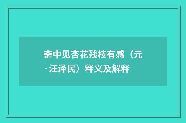 斋中见杏花残枝有感（元·汪泽民）释义及解释