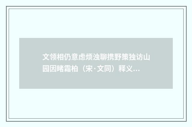 文领相仍意虑烦浊聊携野策独访山园因睹霜柏（宋·文同）释义及解释