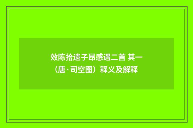 效陈拾遗子昂感遇二首 其一（唐·司空图）释义及解释
