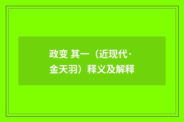 政变 其一（近现代·金天羽）释义及解释