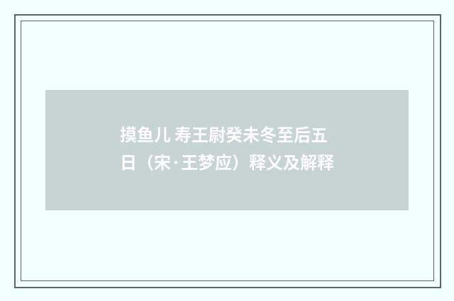 摸鱼儿 寿王尉癸未冬至后五日（宋·王梦应）释义及解释