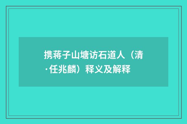 携蒋子山塘访石道人（清·任兆麟）释义及解释