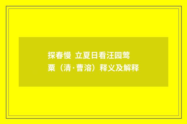 探春慢 立夏日看汪园莺粟（清·曹溶）释义及解释